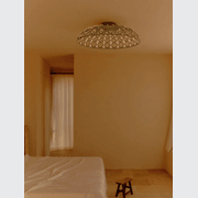 Skynest Ceiling gallery detail image