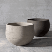 DCL gallery detail image