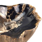 Petrified Wood Stone Basin - Single gallery detail image