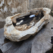 Petrified Wood Stone Basin gallery detail image