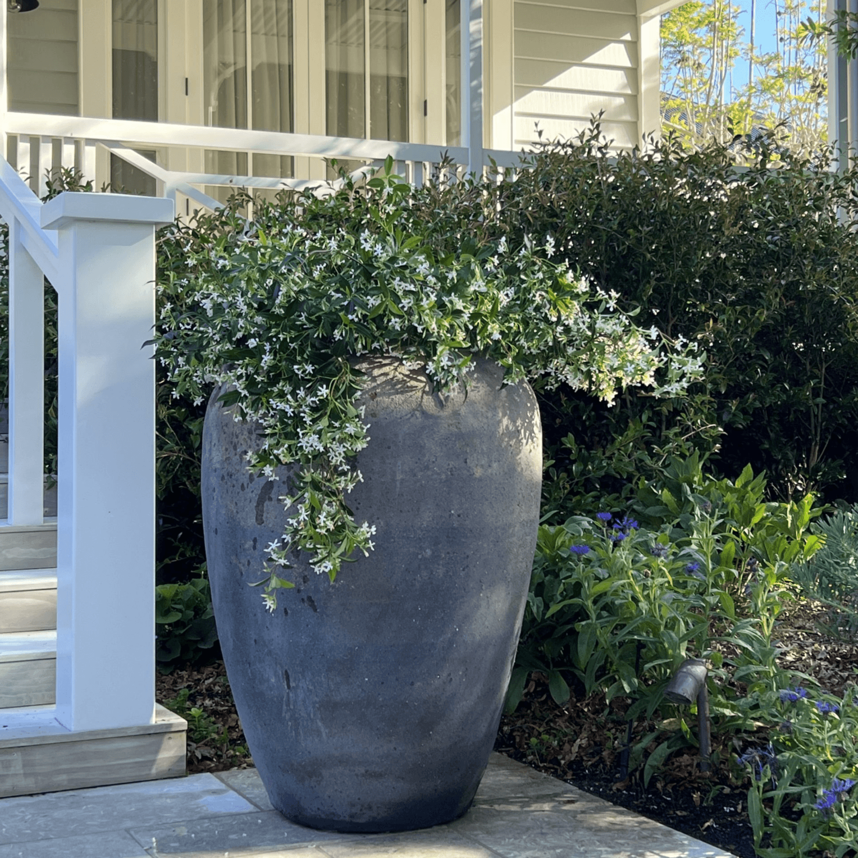 Old Stone - Pickle Jar gallery detail image