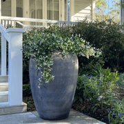 Old Stone - Pickle Jar gallery detail image