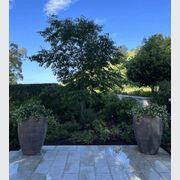 Old Stone - Pickle Jar gallery detail image