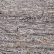 Silver Travertine | Travertine Collection gallery detail image