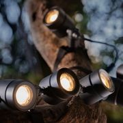 Catripel gallery detail image