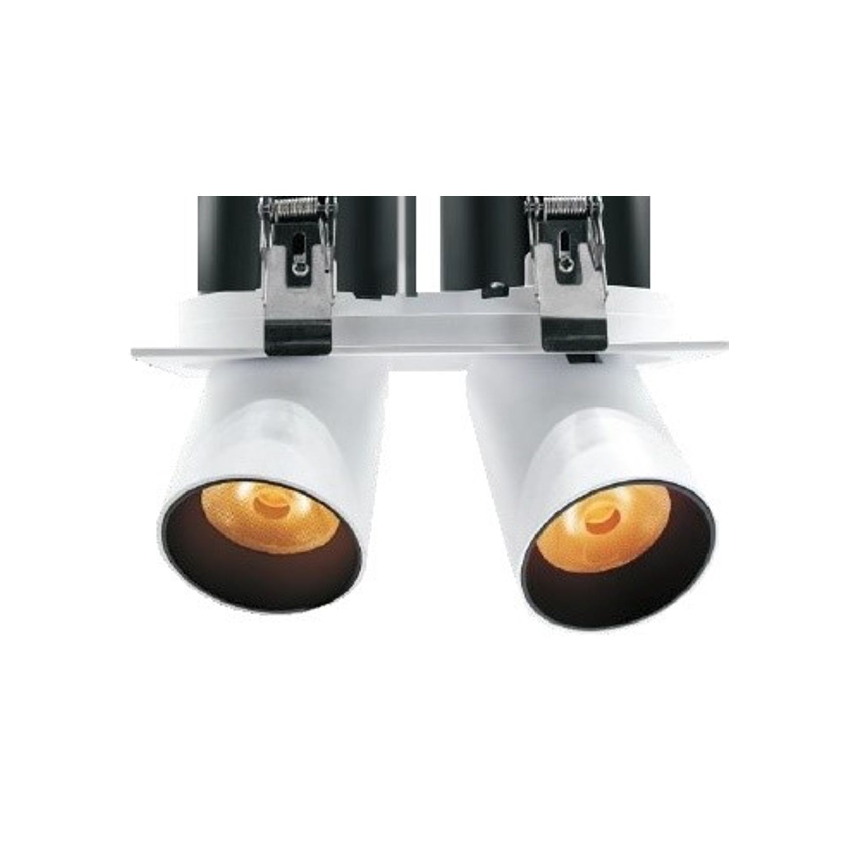 Twin Round Snoot Downlight 25W gallery detail image