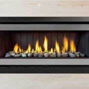 Evolve 1253 Gas Fireplace gallery detail image