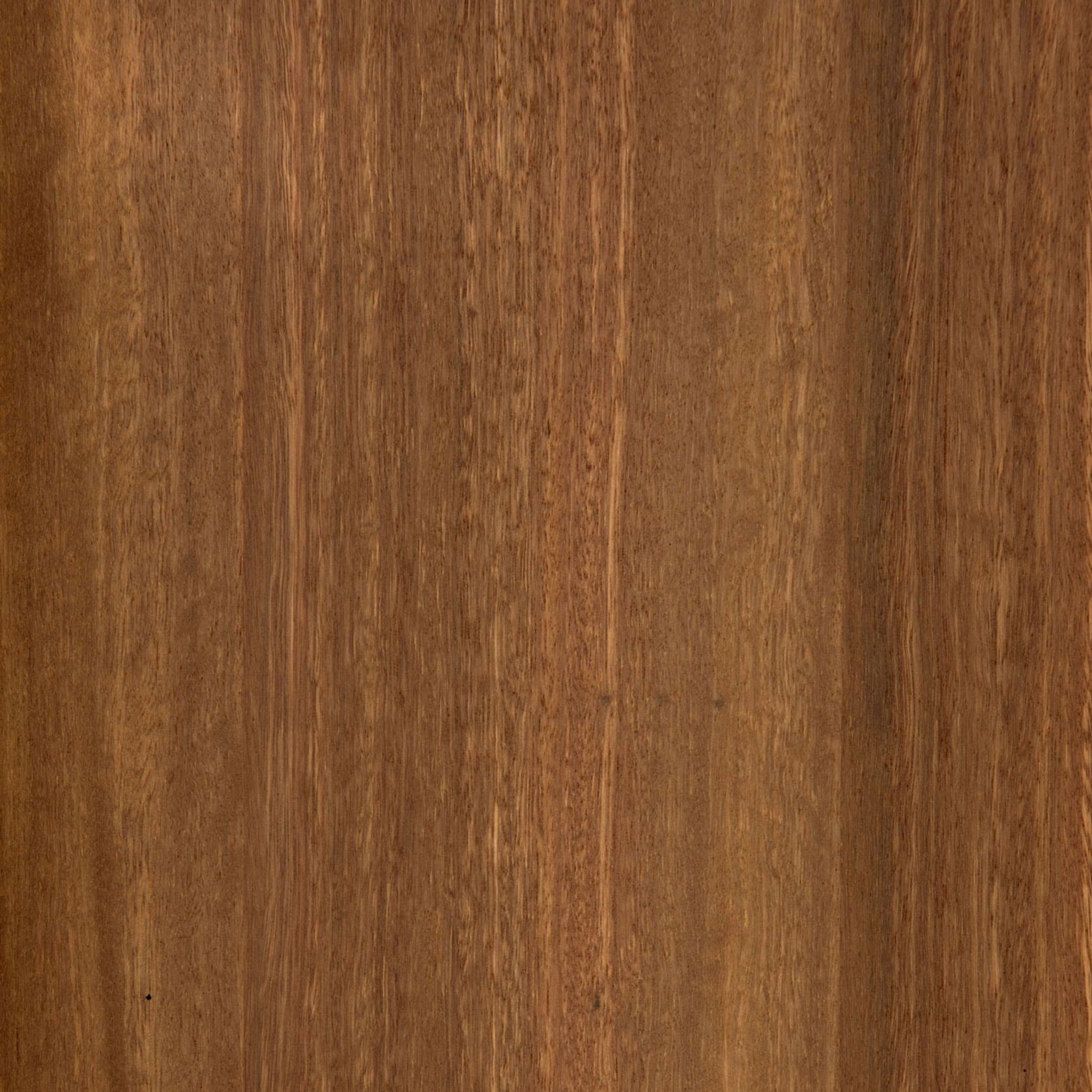 Spotted Gum | Clear | Lignapal Panels gallery detail image