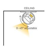 Stellar gallery detail image