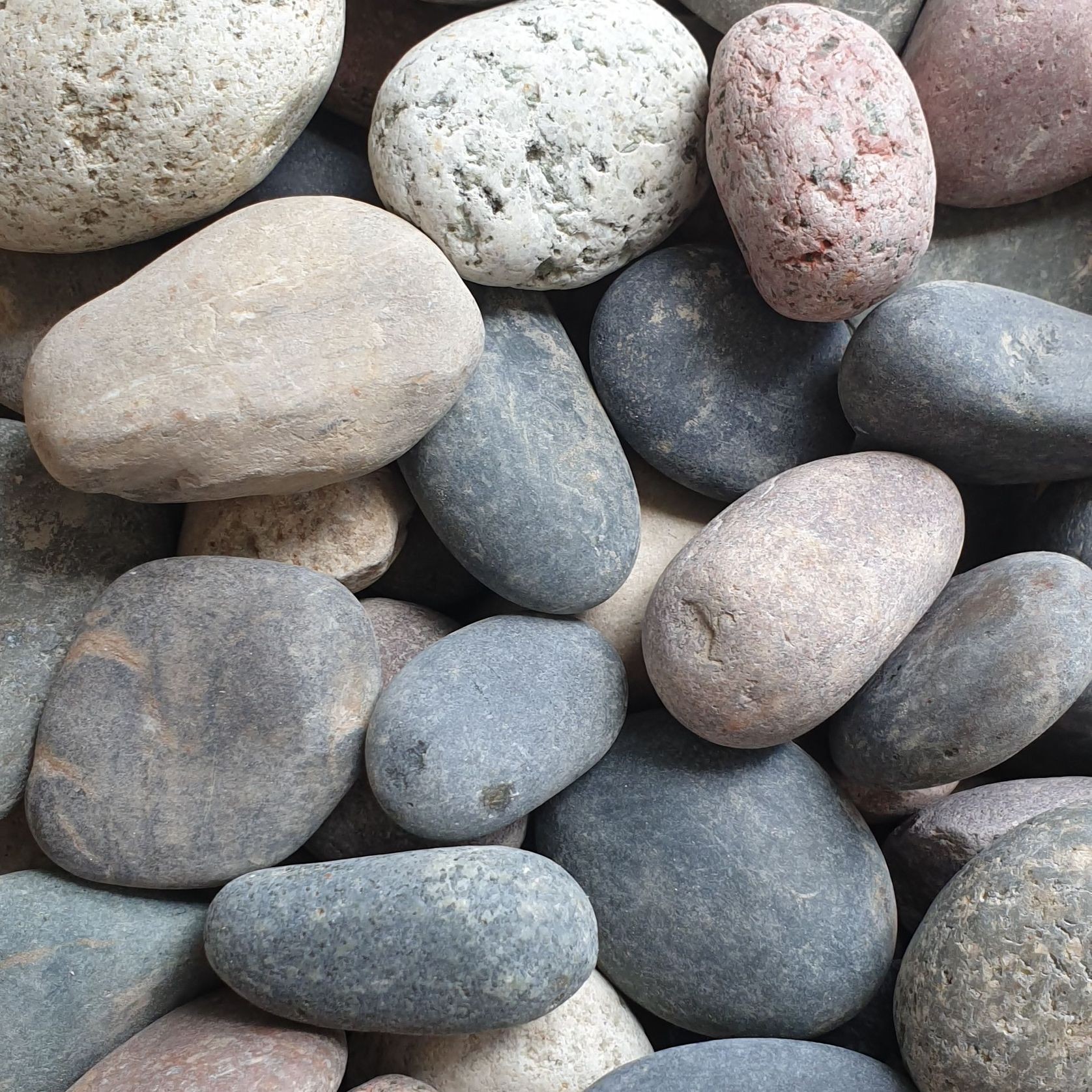 Stoneyard Haus Blend Pebbles gallery detail image