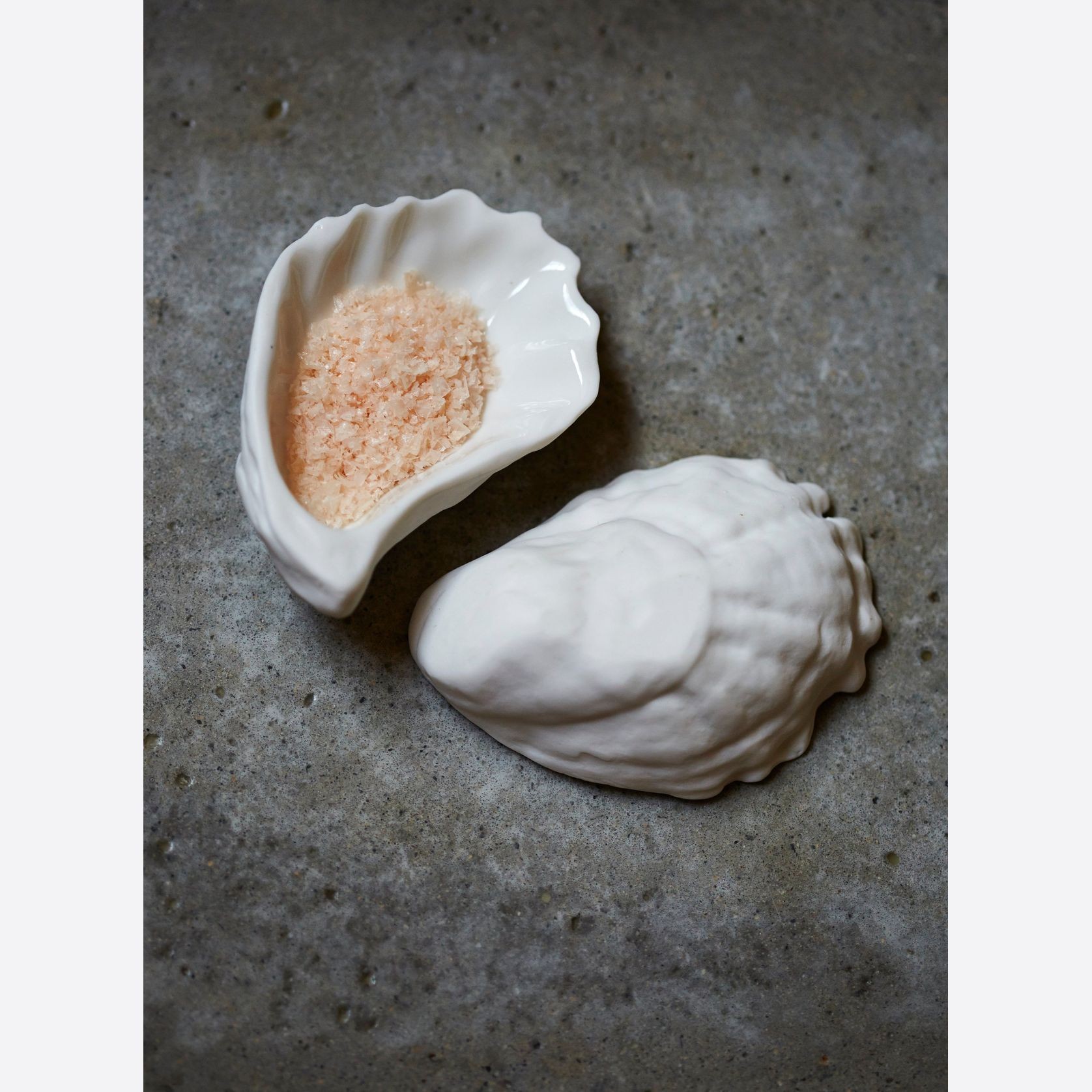 Bounty Shells gallery detail image