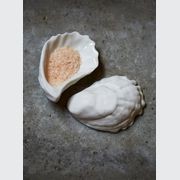 Bounty Shells gallery detail image
