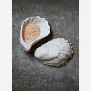 Bounty Shells gallery detail image