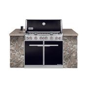 Weber Summit E-660 Built-In ULPG gallery detail image