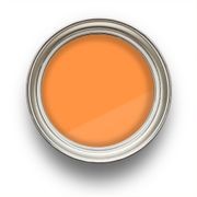 Supernova gallery detail image