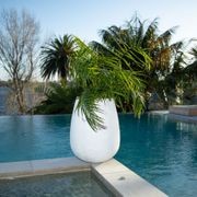 Franoma - Savona Planter gallery detail image