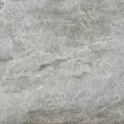 Taj Mahal Quartzite Benchtop gallery detail image