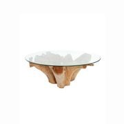 Teak Root Coffee Table w/Glass gallery detail image