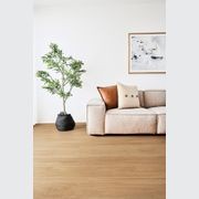 Titan Hybrid Bleached Blackbutt Vinyl Flooring gallery detail image