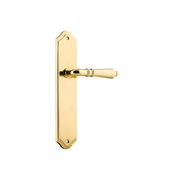 Iver Sarlat Lever on Shouldered Backplate Latch Polished Brass 10212 - Customise to your needs gallery detail image