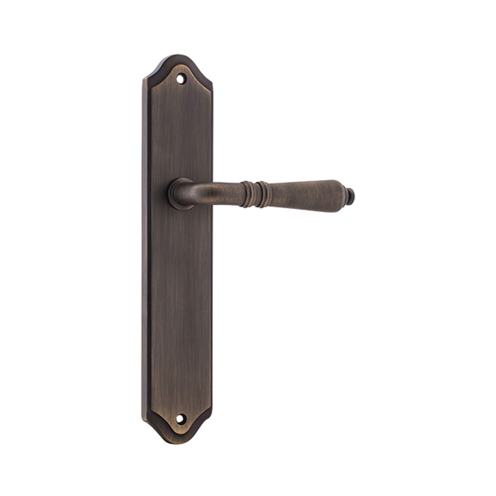 Iver Sarlat Lever on Shouldered Backplate Latch Signature Brass 10712 - Customise to your need gallery detail image