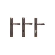 Iver Sarlat Lever Door Handle on Rectangular Backplate gallery detail image