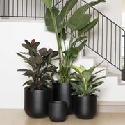 Tromso Cup gallery detail image