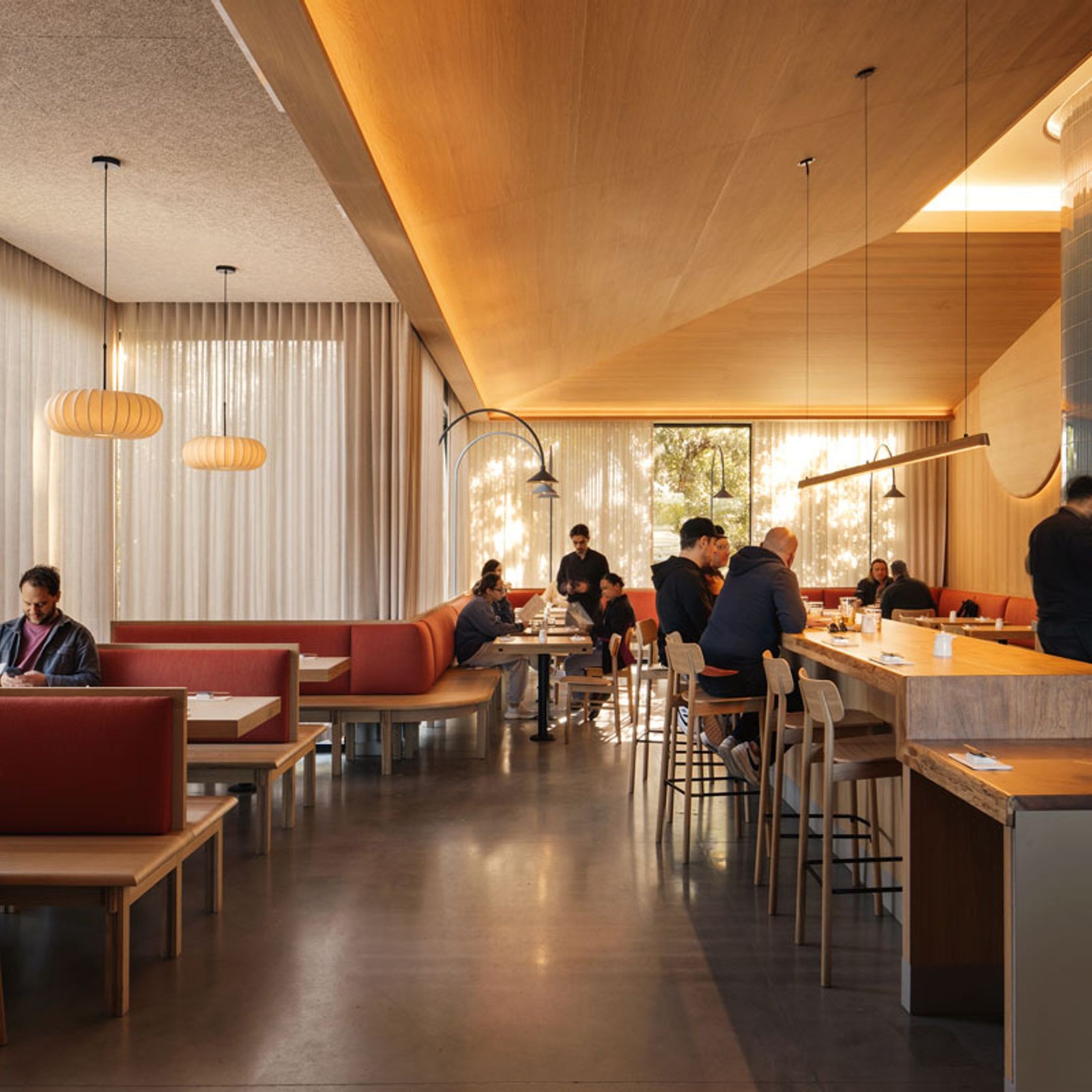 Tenn Pendant | Tasmanian Blackwood gallery detail image