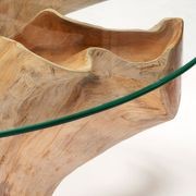 Teak Root Coffee Table w/Glass gallery detail image