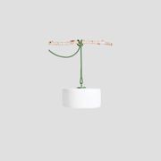 Thierry Le Swinger gallery detail image