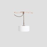 Thierry Le Swinger gallery detail image