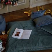 Transloetje gallery detail image