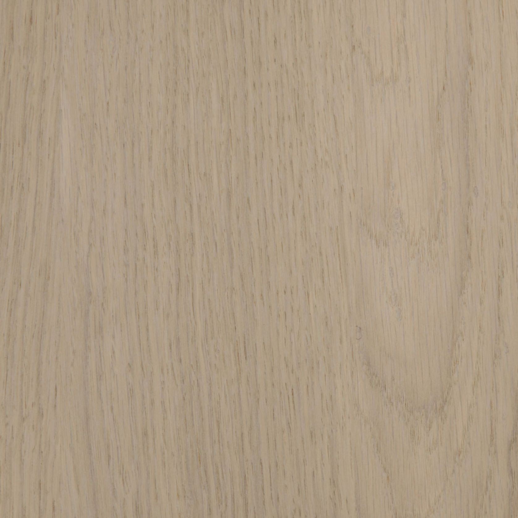 Oak Grey Wash | Vibrant | Lignapal Panels gallery detail image