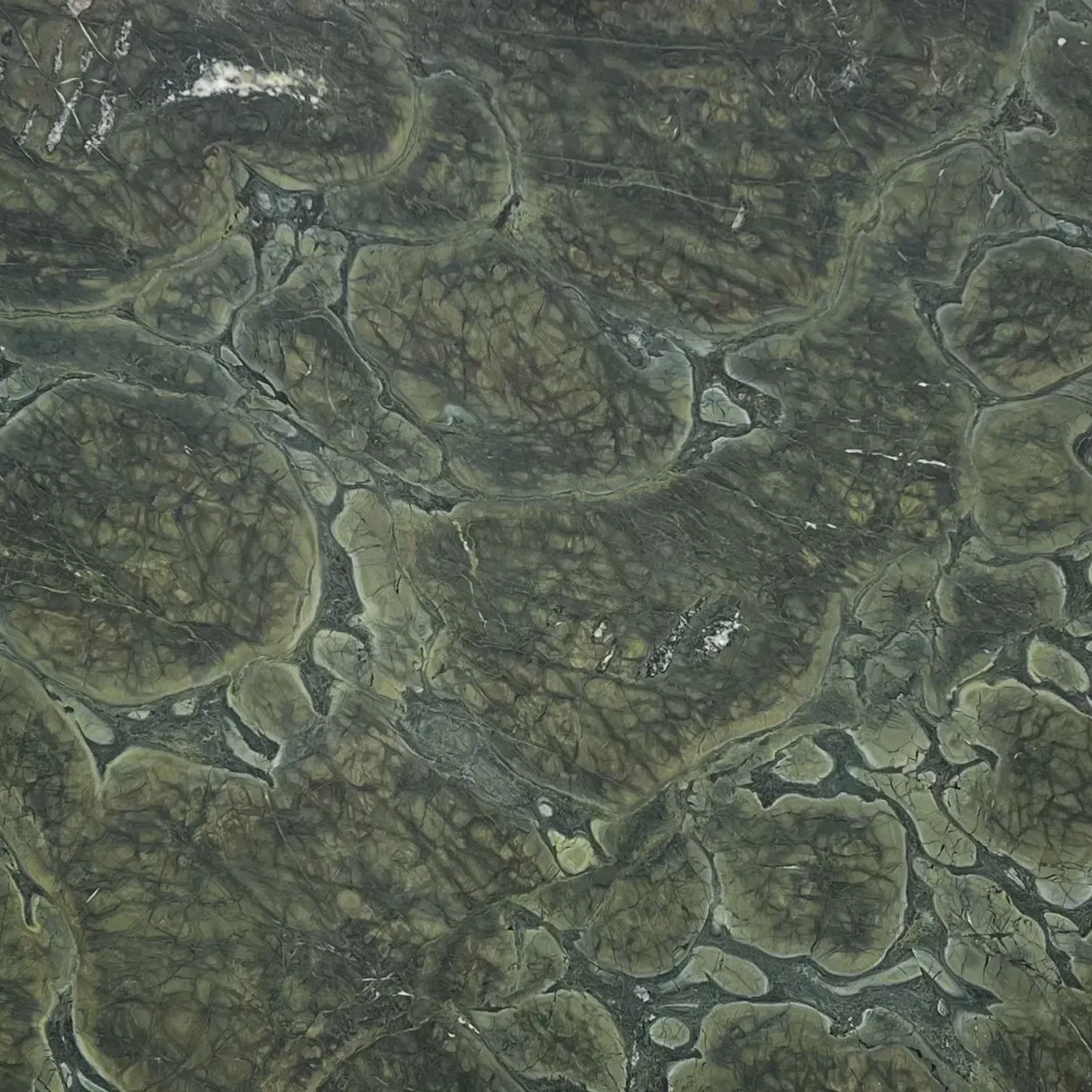 Vivid Green Quartzite Benchtop gallery detail image