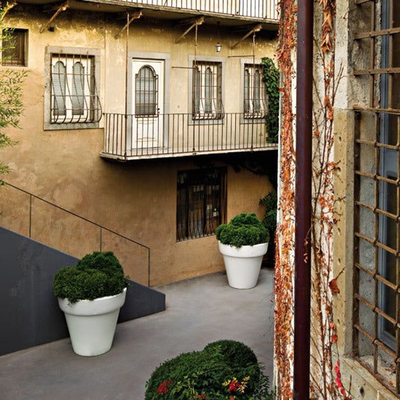 Vas-One gallery detail image