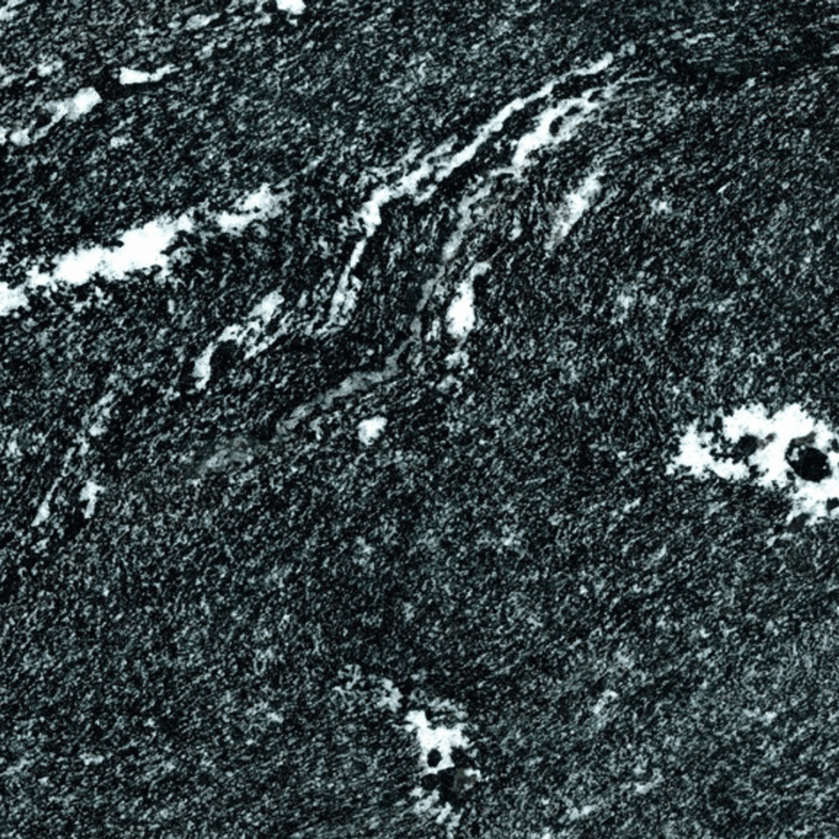 Via Lattea gallery detail image