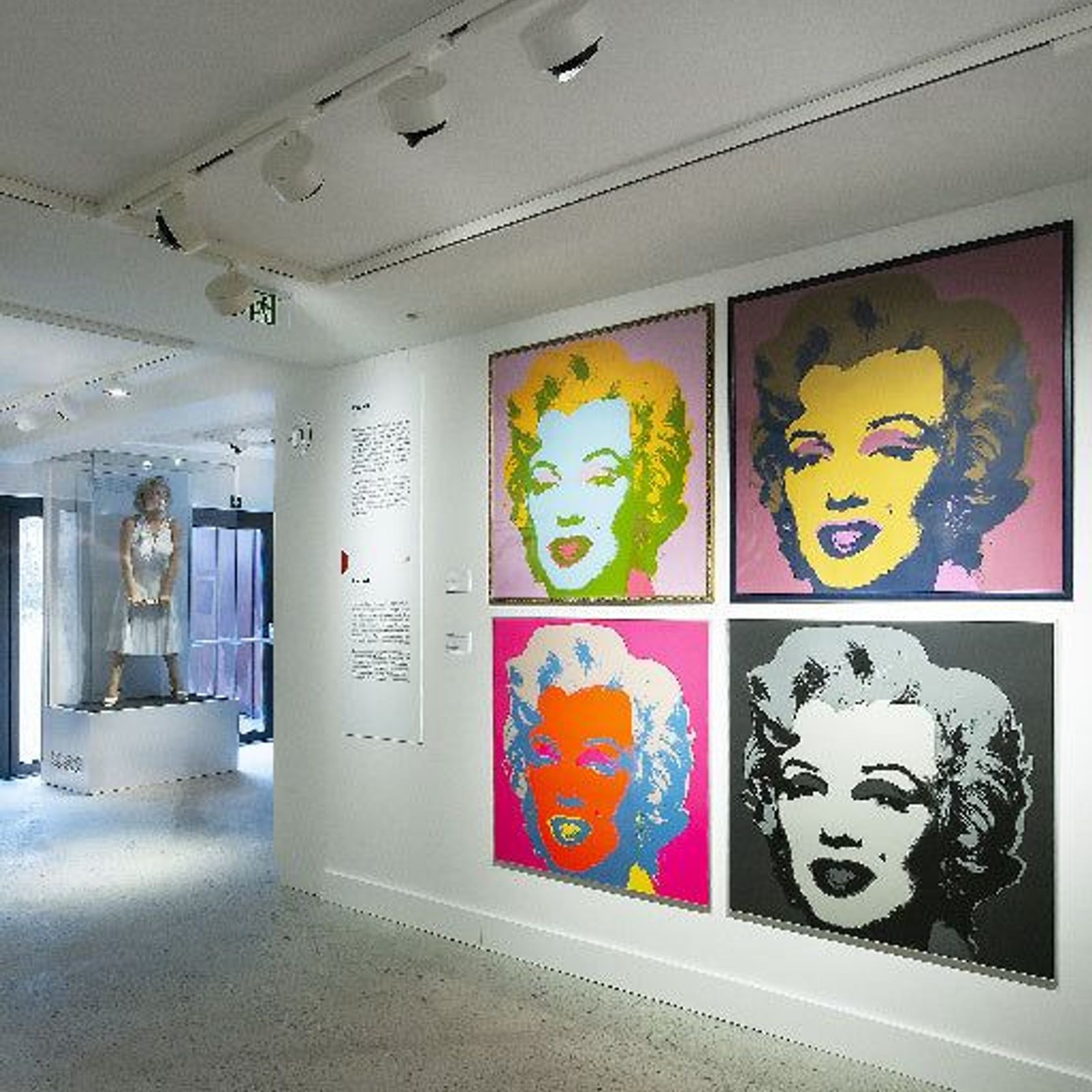 View Opti Spot gallery detail image