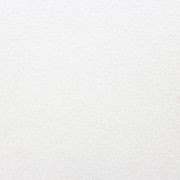 Fitzroy Warm White Matt 300x300mm gallery detail image