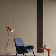 Techno Veneers gallery detail image