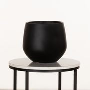 Wynnum Cup gallery detail image