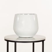 Wynnum Cup gallery detail image