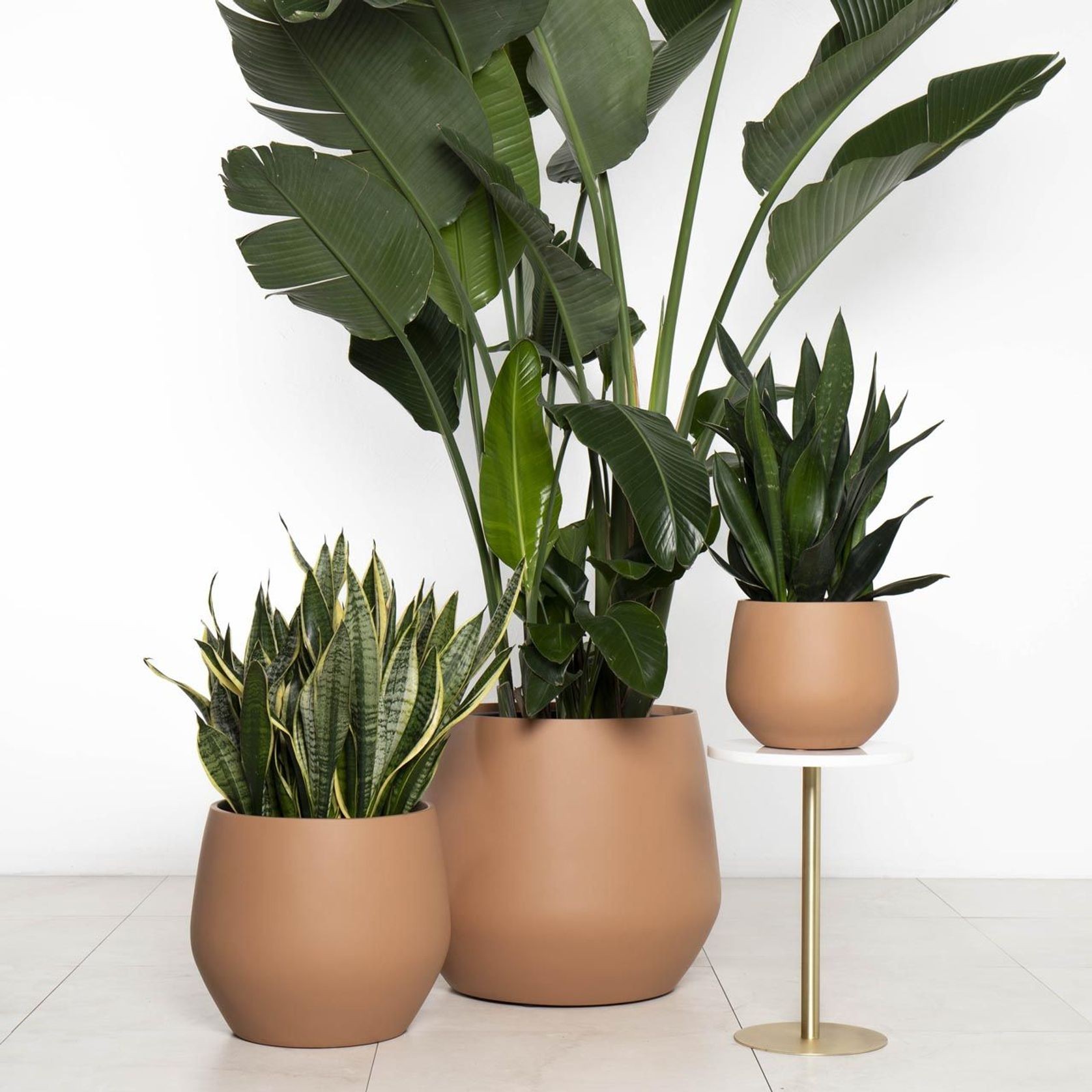 Wynnum Cup gallery detail image