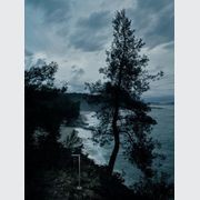 Walkstick Pipe gallery detail image