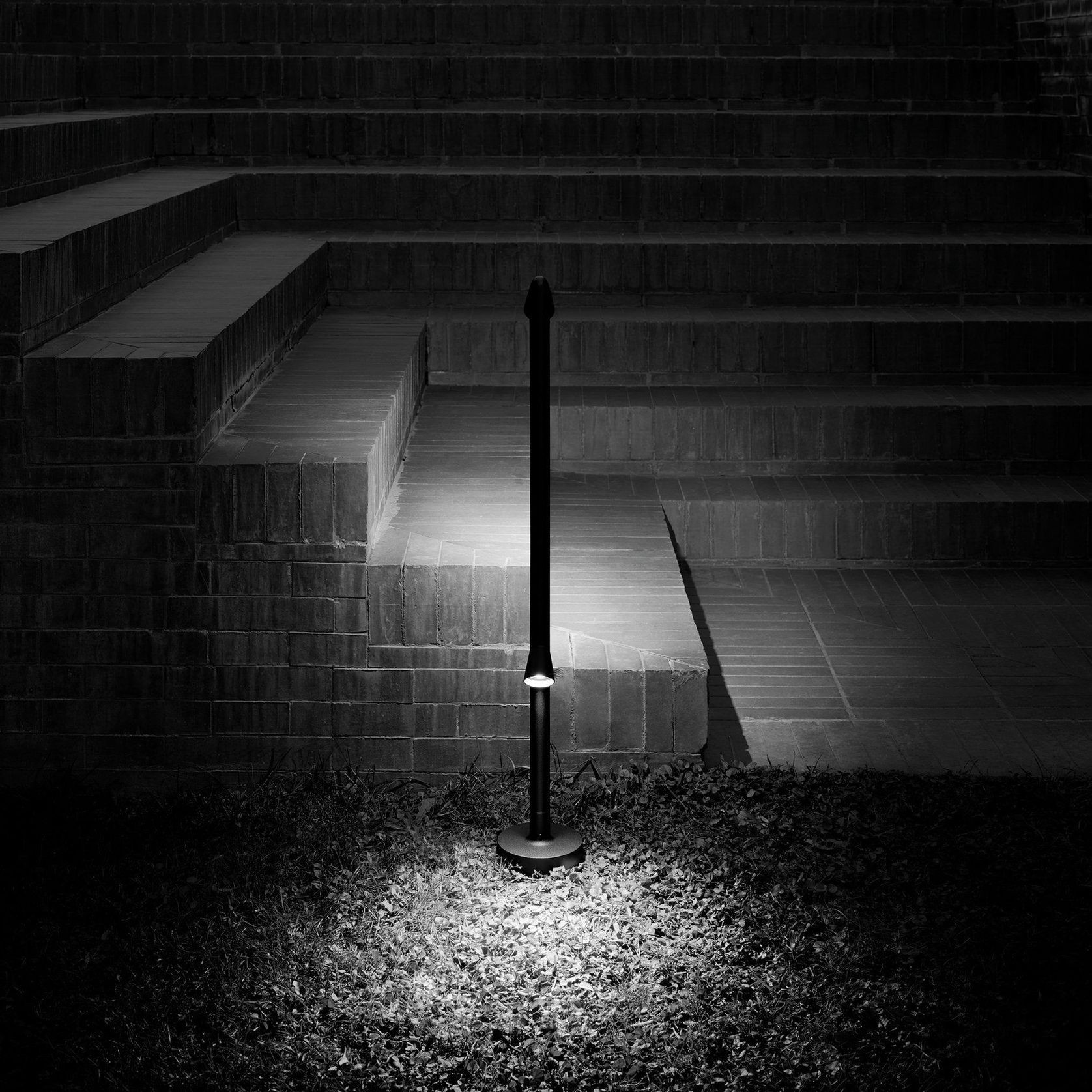 Walkstick gallery detail image