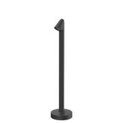 Walkstick gallery detail image