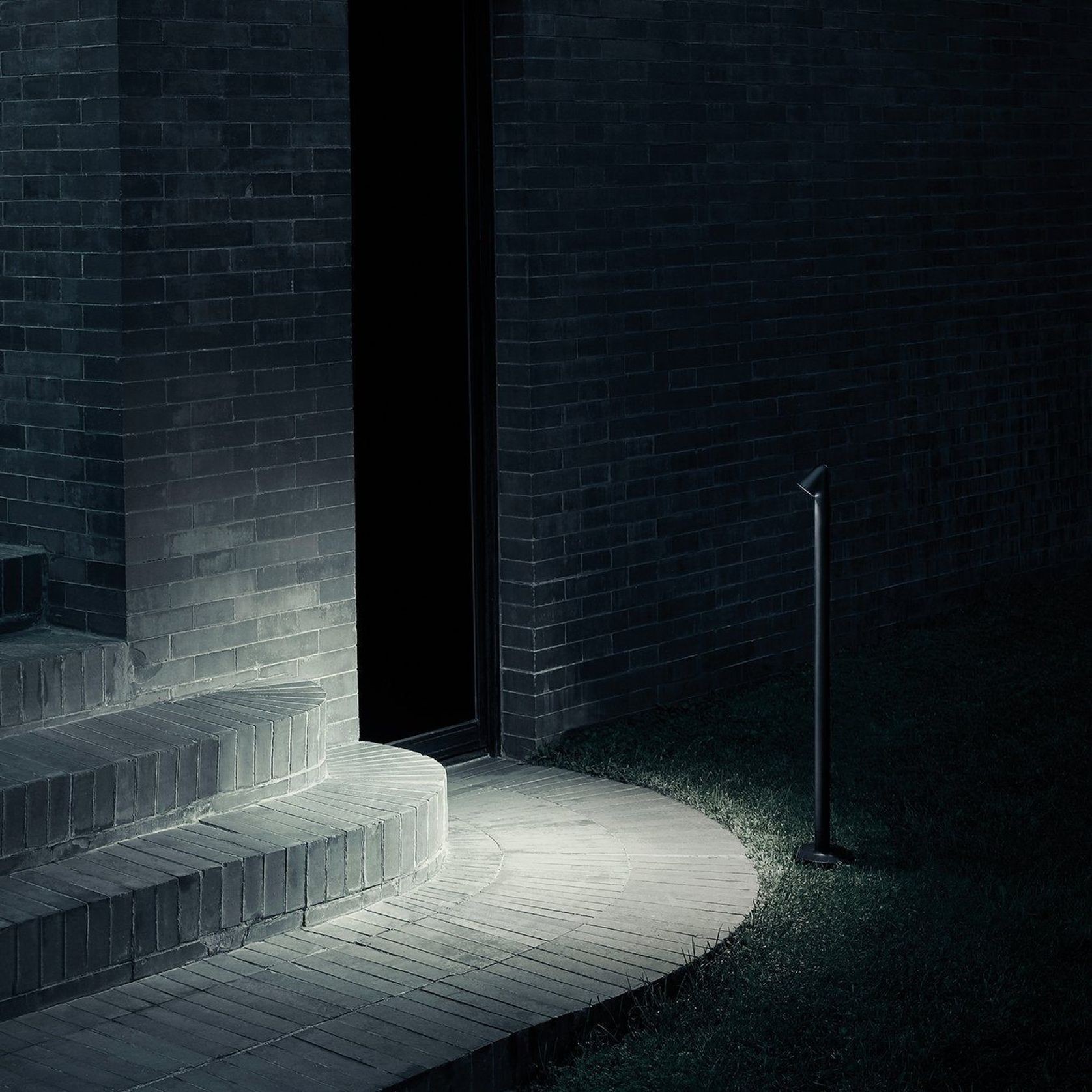 Walkstick gallery detail image