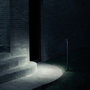 Walkstick gallery detail image