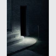 Walkstick gallery detail image