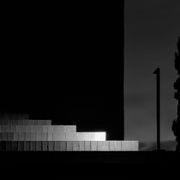 Walkstick gallery detail image