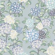 Hydrangea Wallpaper gallery detail image